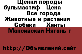 Щенки породы бульмастиф › Цена ­ 25 000 - Все города Животные и растения » Собаки   . Ханты-Мансийский,Нягань г.